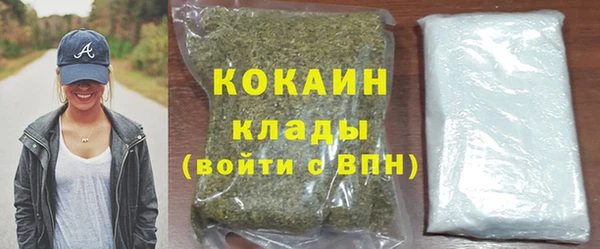 тгк Абаза