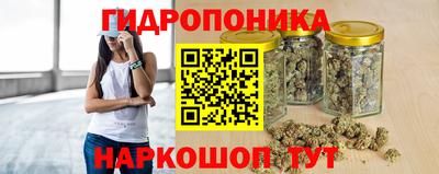 дмт Новозыбков