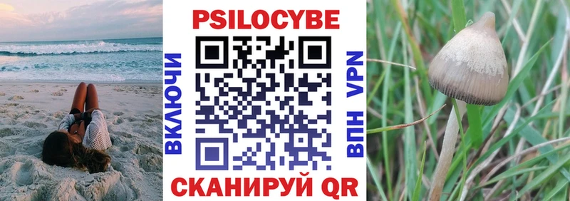 Псилоцибиновые грибы GOLDEN TEACHER  купить закладку  Южноуральск 