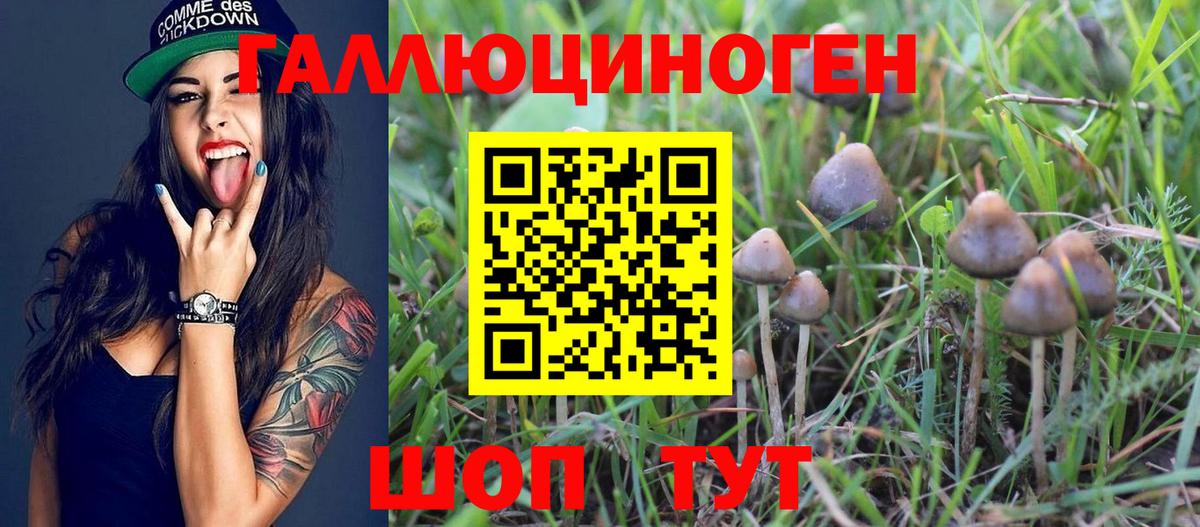 Южноуральск  Псилоцибиновые грибы Magic Shrooms  Вход с VPN 